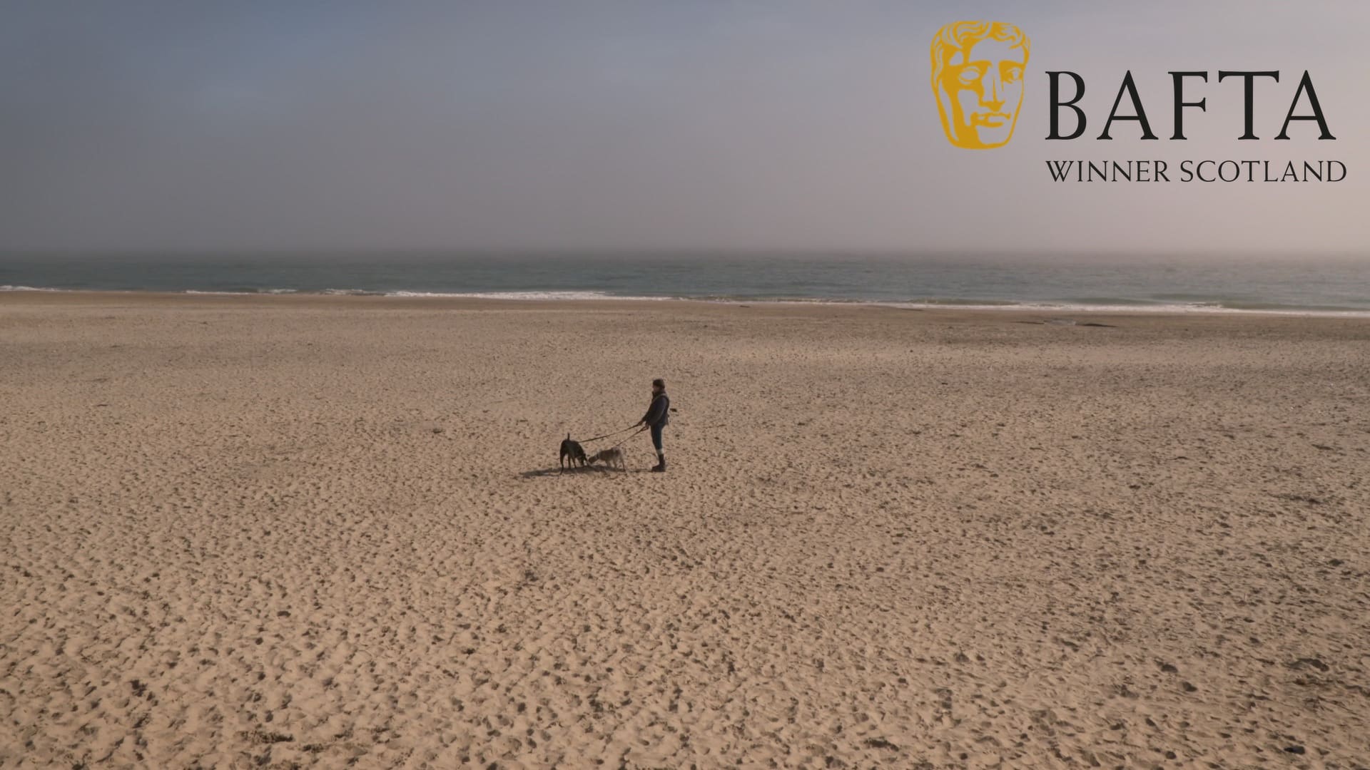 Person walking two dogs on a sandy beach under a cloudy sky, with a BAFTA logo and text "Winner Scotland" in the corner.